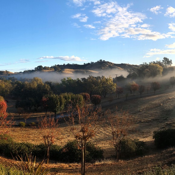 sueustis